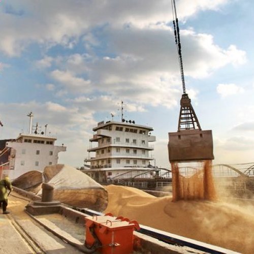Se oficializó la suba de retenciones para grandes productores de soja