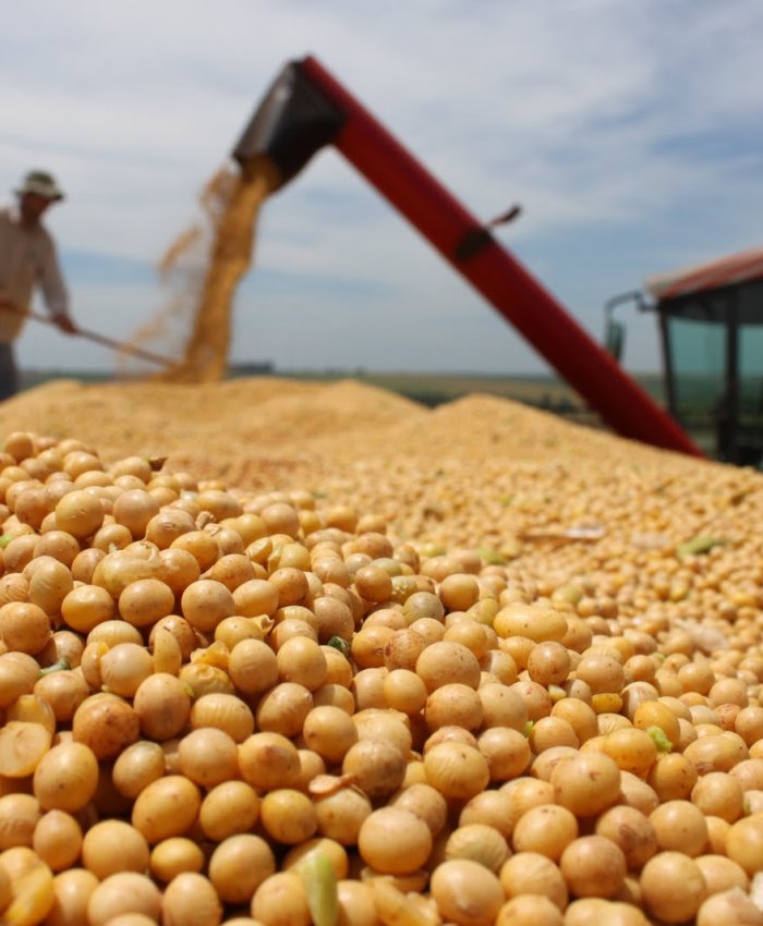 La quita de retenciones a la soja le costará al Estado más de 1000 millones de dólares