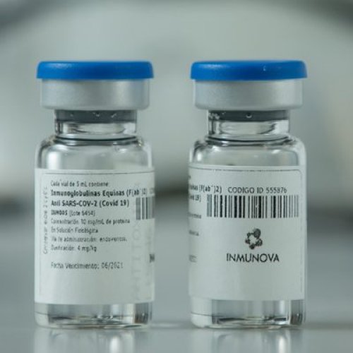 Ciencia nacional: científicos desarrollaron íntegramente un suero que neutralizaría el coronavirus