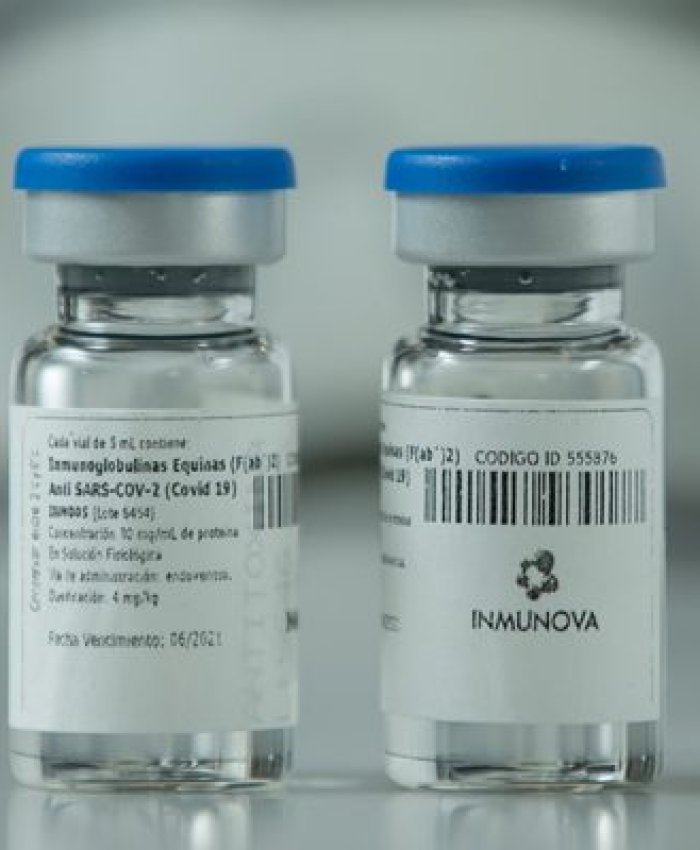 Ciencia nacional: científicos desarrollaron íntegramente un suero que neutralizaría el coronavirus