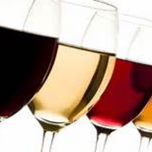 San Juan propuso bajar el grado alcohólico del vino