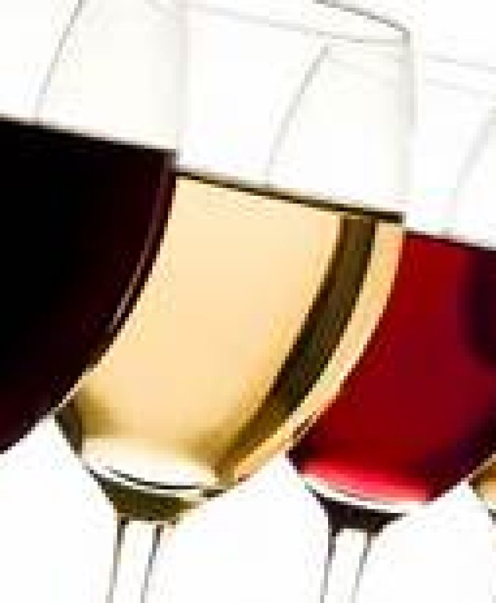 San Juan propuso bajar el grado alcohólico del vino