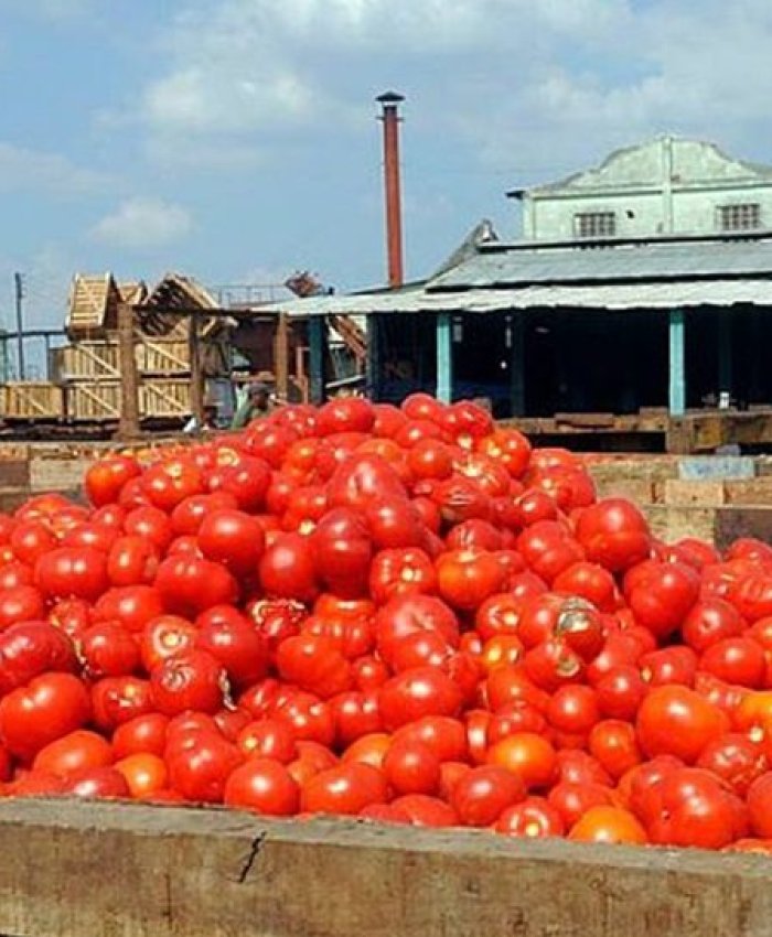 Foto: http://www.diariohuarpe.com/