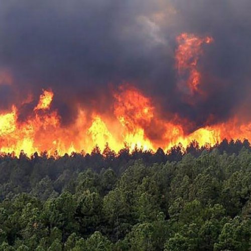 El fuego continúa azotando distintas localidades de Misiones