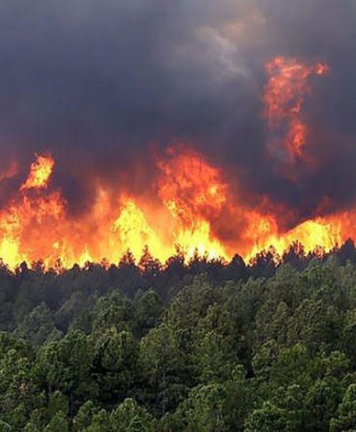 El fuego continúa azotando distintas localidades de Misiones