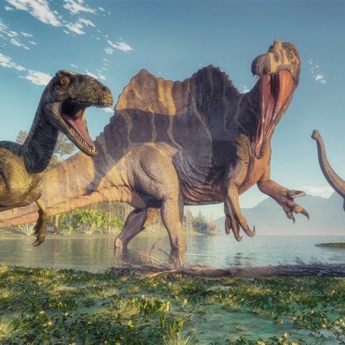 NUEVOS DECUBRIMIENTOS: los dinosaurios se extinguieron por el cambio climático