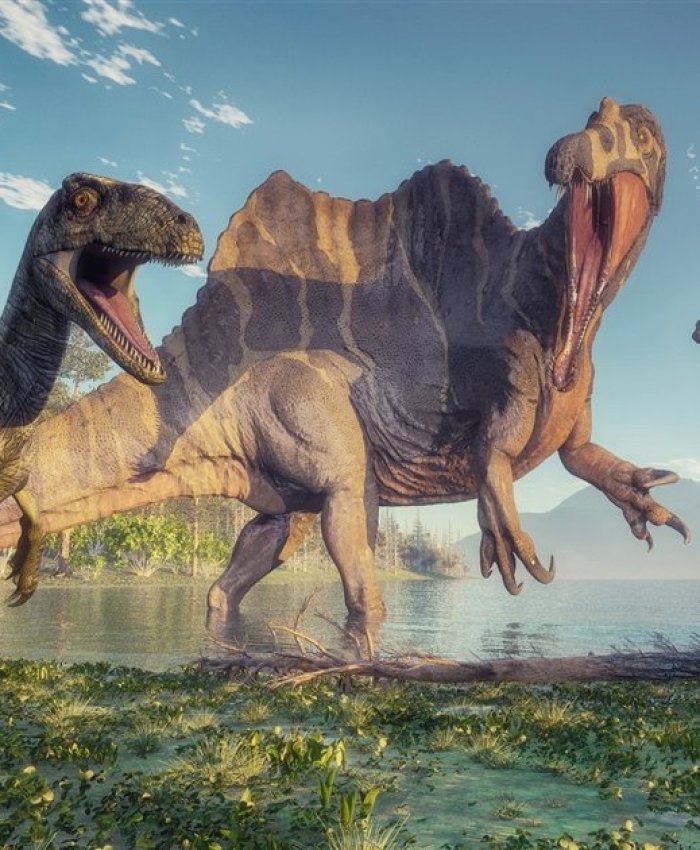 NUEVOS DECUBRIMIENTOS: los dinosaurios se extinguieron por el cambio climático