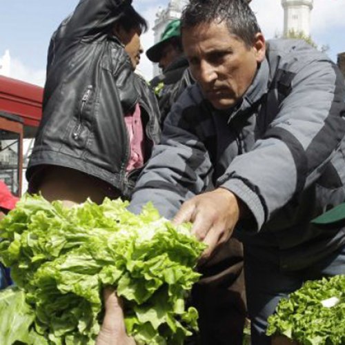 Productores jujeños regalaron su verdura y piden igual trato que las mineras