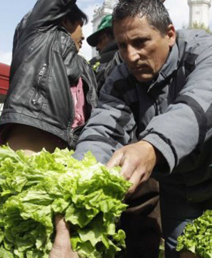 Productores jujeños regalaron su verdura y piden igual trato que las mineras