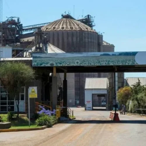 ULTIMO MOMENTO: detuvieron al presidente de Vicentin por estafa