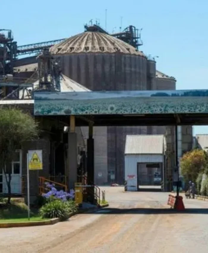 ULTIMO MOMENTO: detuvieron al presidente de Vicentin por estafa