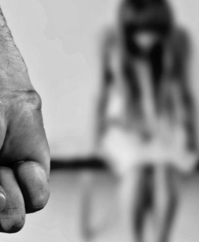 El Registro de Violencia Doméstica (RVD) quedó formalmente funcionando
