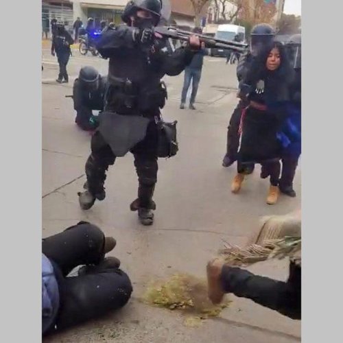 Tras la represión, las comunidades mapuches de Neuquén ratificaron su plan de lucha por la personería jurídica