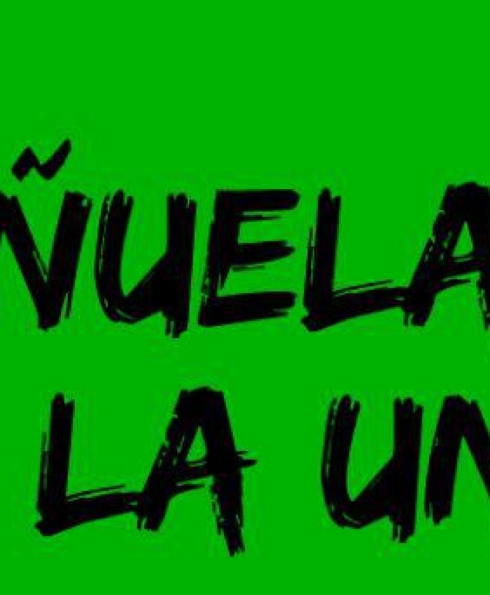 Pañuelazo verde en la UNSJ: presentación de sistematización de casos en san juan de acompañamientos en abortos