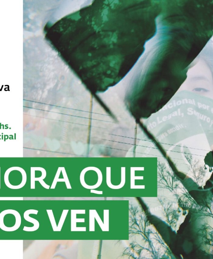 AHORA QUE SÍ NOS VEN: feminismo en las calles